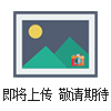 專業銷售VULCANIC溫控器/VULCANIC熱電偶